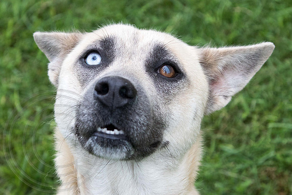 Kita