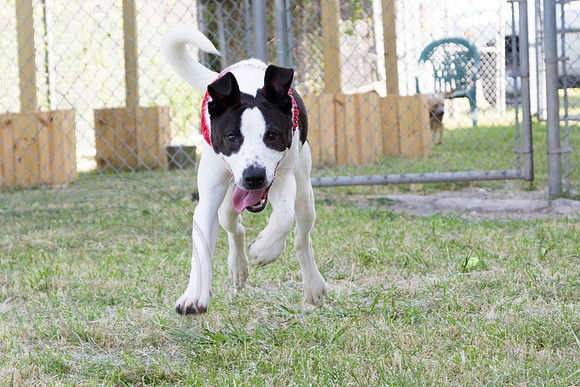 Cindi-A1330786