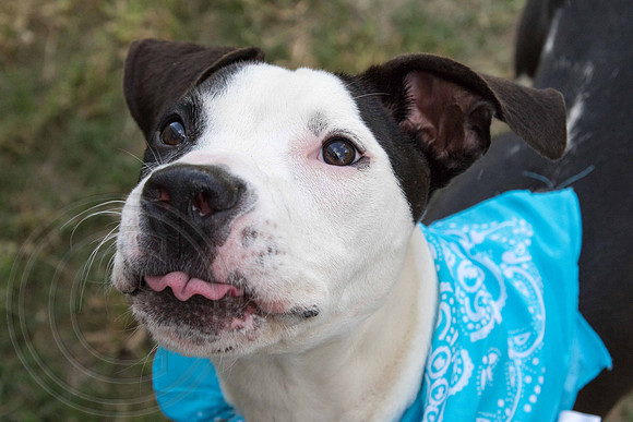 George-A1330425