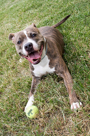 Izzy-A1320484