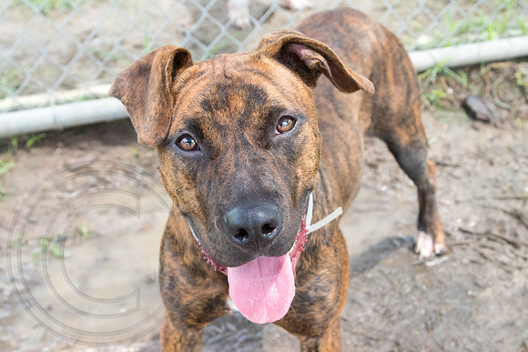 Jill-A1324469