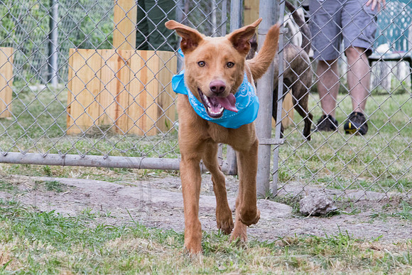 Mary-A1326217