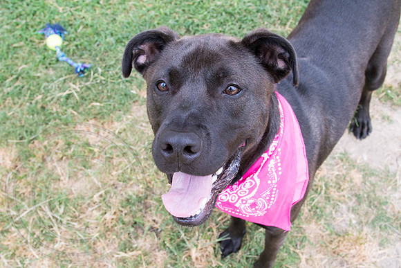 SugarBear-A1328541