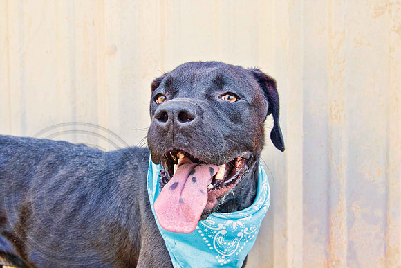 James-A1332743