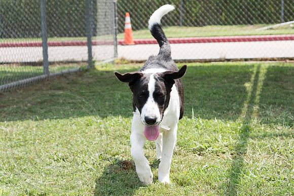 SHANE A1341567