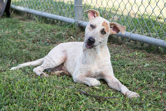 Maggie A1341582