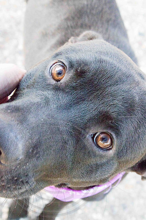Marnie A1340178